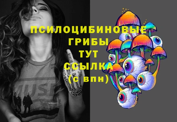 прущая мука Арсеньев