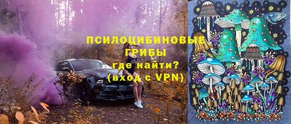 прущая мука Арсеньев