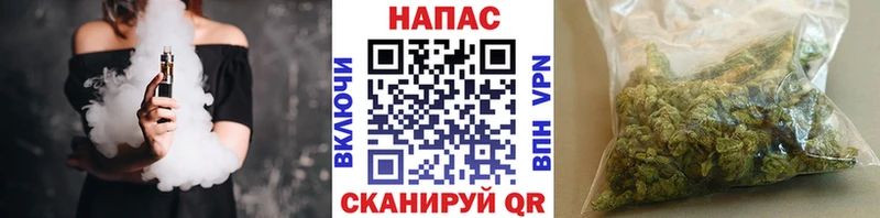 Марихуана план  Нижняя Салда 